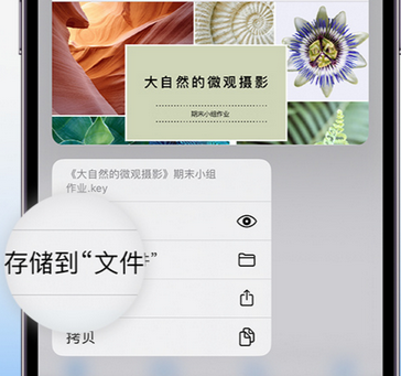 万源apple维修中心分享iPhone文件应用中存储和找到下载文件