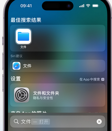 万源apple维修中心分享iPhone文件应用中存储和找到下载文件 