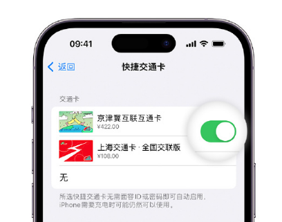 万源apple维修点分享iPhone上更换Apple Pay快捷交通卡手绘卡面 