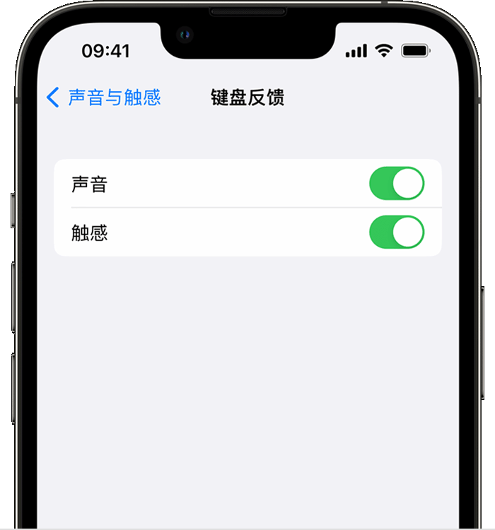 万源苹果14维修店分享如何在 iPhone 14 机型中使用触感键盘 