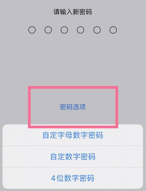 万源苹果14维修分享iPhone 14plus设置密码的方法 