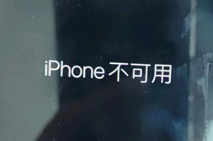 万源苹果服务网点分享锁屏界面显示“iPhone 不可用”如何解决 