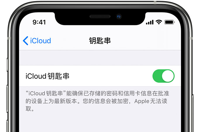 万源苹果手机维修分享在 iPhone 上开启 iCloud 钥匙串之后会储存哪些信息 